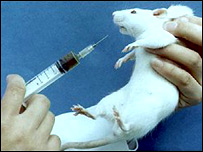 موش آزمايشگاهی