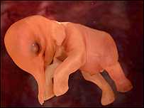 (imagem: channel 4/PA)