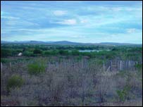 Detalhe da região conhecida como 'Polígono da Maconha', em Pernambuco.