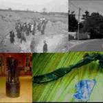 Above left, the crash site in 1944, with the huge crater made by the explosion. Above right, the crash site in 2004. Below left, the fins of a bomb casing and below right, a wing spar with part of an oil cooler. Above left, the crash site in 1944, with the huge crater made by the explosion. Above right, the crash site in 2004. Below left, the fins of a bomb casing and below right, a wing spar with part of an oil cooler.