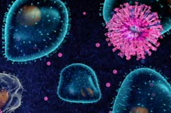 SARS virus approaching a cell