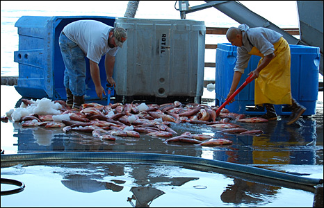 Ngư dân trên cầu cảng ở Monterey