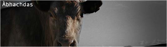 Àbhachdas