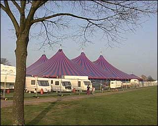 Sunny picture of tents with a tree in foreground