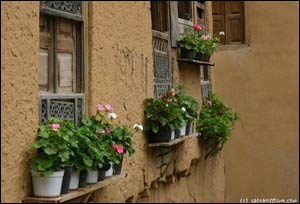 عکس از صالح آرا