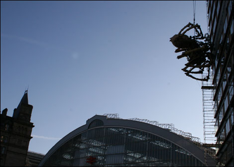 The spider on Concourse House