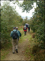 Walkers on a path