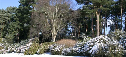 Ness Botanic Gardens, Merseyside
