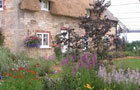 The Daily Mail Cottage Garden