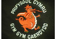 Cymdeithas y Gym Gym