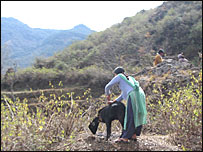 उत्तराखंड में महिला