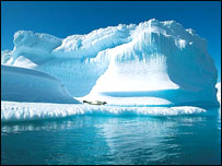 لامبوزن کنګل