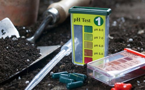 soil pH test