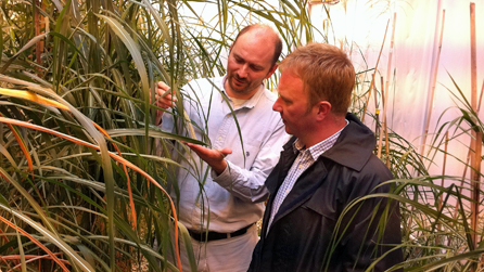 Professor Iain Donnison and Adam Walton Professor Iain Donnison and Adam Walton