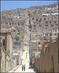 دغرونوکورونوته لارې