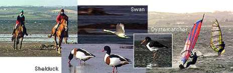 Image of activities on the lough