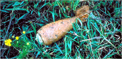 ناچاوده توکي 