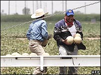 Amerikalı işçiler