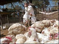 اسلام آباد کا تاجر