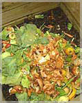 Compost
