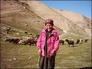 دستگير همراز