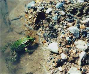 عکس از سروش اذانی