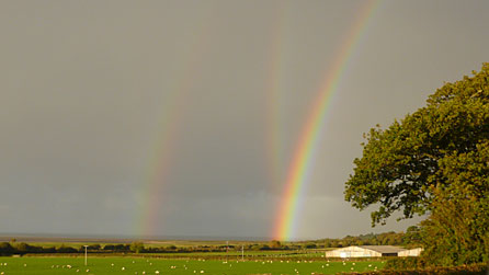 Rainbows. Photo: Katie Lench