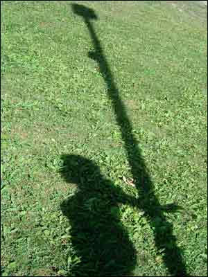 عکس از فريد مقامی