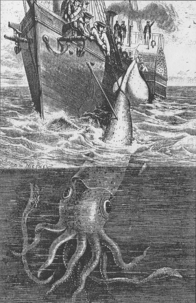 Illustration from the original edition of Twenty Thousand Leagues Under the Sea depicting a giant squid