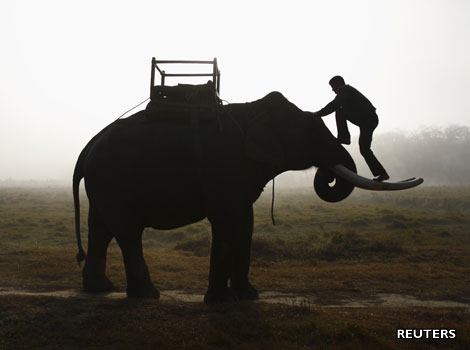 A man climbs onto an elephant in Nepal