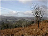The stunning view from the well at Stidwell