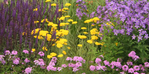 planting_combo_300x125.jpg