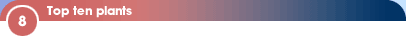 8 - Top ten plants