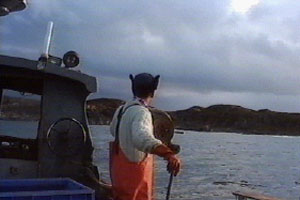 Ian's not a believer, but...