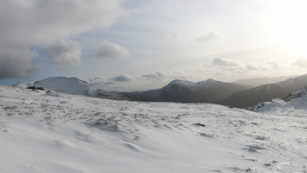 The Cobbler