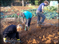 Outdoor volunteering