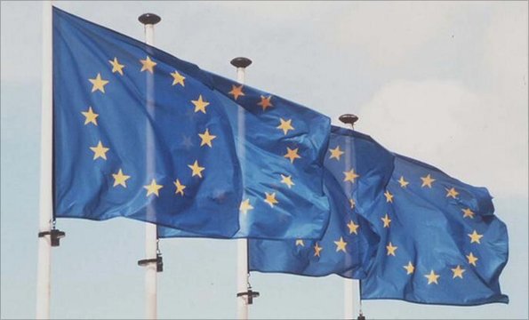 EU flags