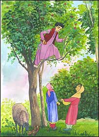 نصرو در باغ برای سهیلا و بنفشه، میوه می ریزد