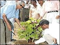 राष्ट्रपति अब्दुल कलाम रतनजोत लगाते हुए