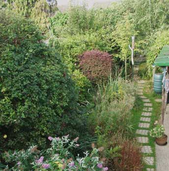 David Jones bit of the planet