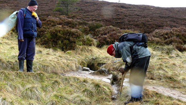 Two people working on hillside