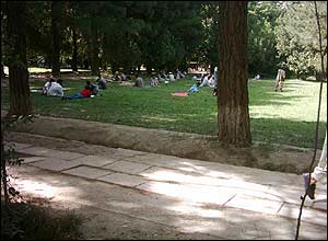 دانشگاه کابل