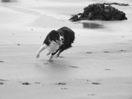 ..or maybe over here somewhere?..