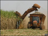 Colheita de cana no Brasil