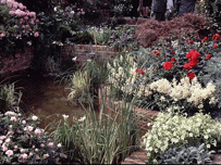 Expoziţia florală din Chelsea