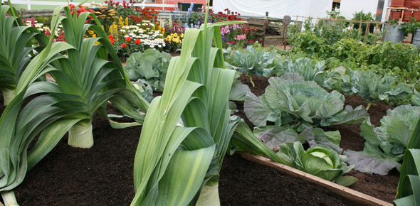 Schedule Show Garden RHS Show Tatton Park