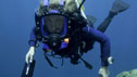 Oceans presenters