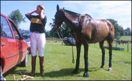 Polo player and horse 