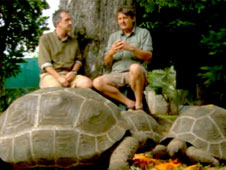 Carl and Mark from Durrell