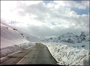 بهزاد مرادی